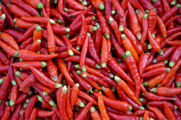 Fresh organic red spicy Thai chilies background. Concept, food ingredients, agriculture crops in Thailand for cooking with spicy food, chiles sauce or chilli paste.