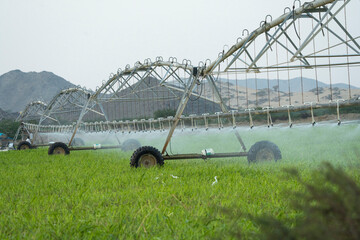 desert framing in saudi arabia