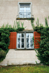 Wall overgrown with greenery with a beautiful window. Picturesque wall of an old house. Grapevine around the window on the facade of the house covered wild grapes