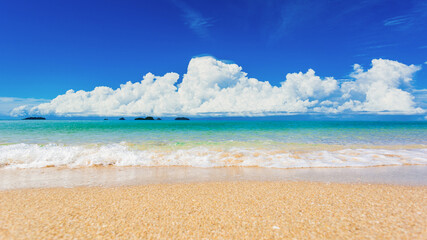 beautiful ocean landscape sea and sandy beach paradise outdoor nature in high season