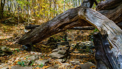 Rattlesnake Lodge Trail