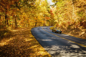 Road through fall forest