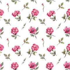 Fototapeta na wymiar Romantic, floral pattern with roses on a white background. Roses, rose buds leafing through a gentle, floral background. Floral texture for fabrics, textiles, wallpapers.