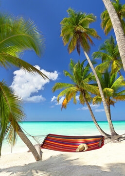 Reisen ins Paradies