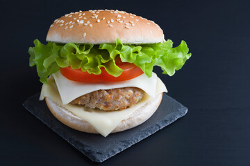Fresh tasty burger on black background