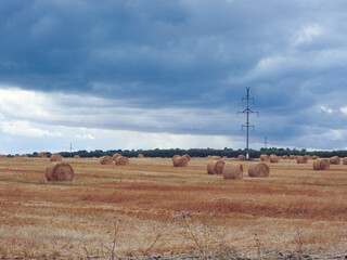 photo of a beautiful landscape