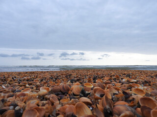 photo from the shore on a cloudy day