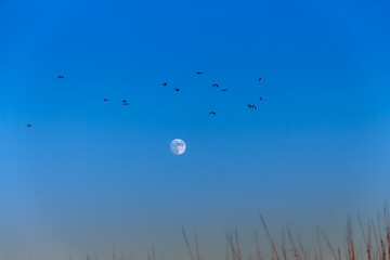 Vega Baja del Segura - Torrevieja - Las salinas paisajes con sol y luna