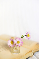 Close-up of a bouquet of small magenta flowers on an open book on a white knitted background. Slow life concept. Warm, warming background.	
