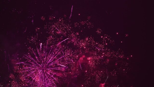 Fireworks at night after celebration. The color is red and violet