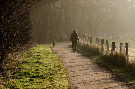"Spaziergang Bilder – Durchsuchen 1,011,144 Archivfotos, Vektorgrafiken