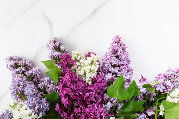 Top view of lilac blossom spring background concept flowers overhead