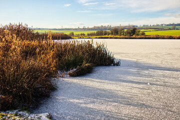landscape with a frozen pond in the morning