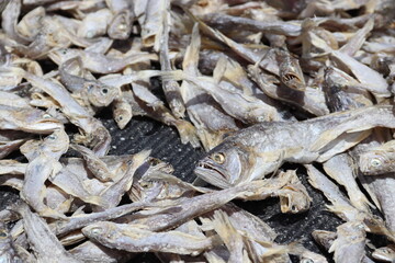 Nieuw Amsterdam, Suriname. 22-10-2022. Close up of sun dried fish.