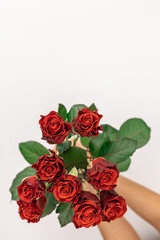 Bouquet of red roses in female hands on a white background, top view.