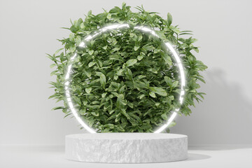 Empty podium Blank product shelf standing backdrop.