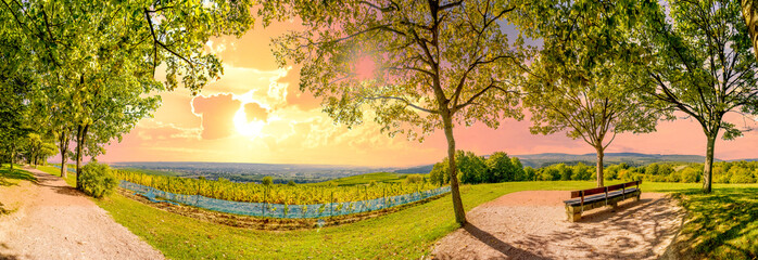 Blick über Rheingau Weinberge in der Nähe von Diedrich und Ruedesheim, Germany 