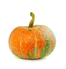 Ripe pumpkins isolated. Halloween party pumpkin. pumpkins for autumn backdrop. Squash background for harvest festival.