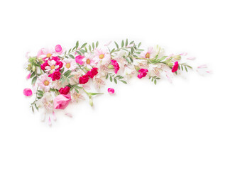 beautiful pink and white flowers isolated on white background