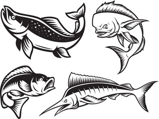 A vector clip art for a fishing theme with marline, salmon, perch, mahi mahi fish 
