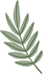 Fototapeta na wymiar simplicity eucalyptus leaf freehand drawing.