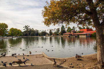 a gorgeous autumn landscape at Lincoln Park with a lake surrounded by autumn colored trees and lush...