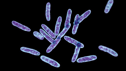Naklejka premium Bacteria Cardiobacterium hominis, 3D illustration. Normally present in mouth, nose and throat and can be the cause endocarditis