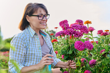 Woman with fresh zinnia flowers outdoor, in garden with blooming flowers