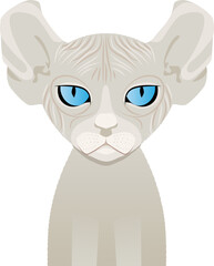 Elf cat vector. Bald cat. Home pet.