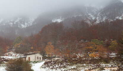 snowy landscape with house and fog in the Matese park