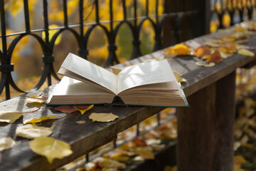 Naklejka na ściany i meble An open book lies on a bench on a sunny autumn day.