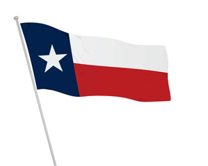 Texas state of USA flag. vector