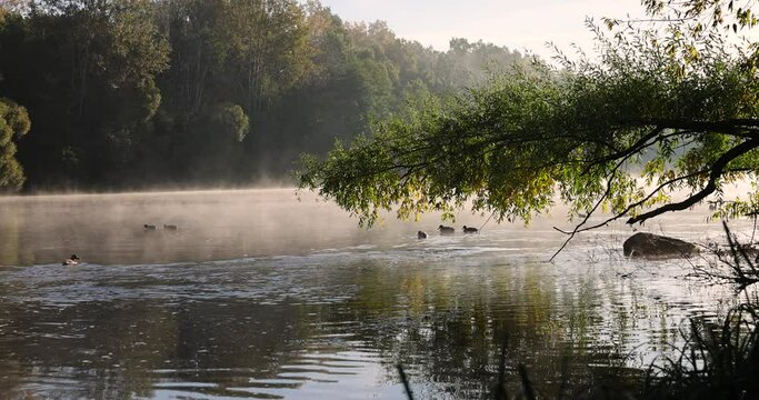 A little fog on the river in the autumn season, fog on the surface of the river in the autumn season during the sunny dawn