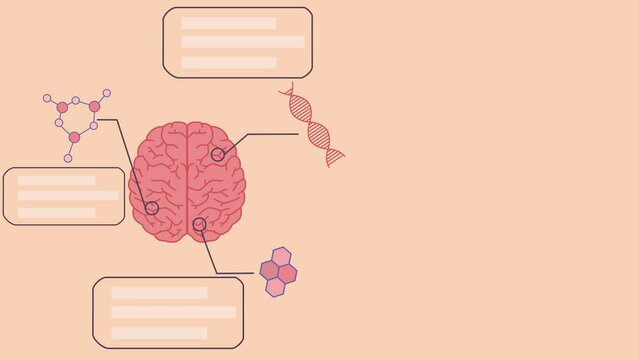 Things to form a brain, braincells and neurons