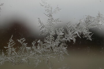 frost on the window