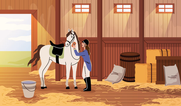 Horse care. Girl takes thoroughbred stallion car in racetrack stables, professional equestrian sport, woman washes and cleans animal, character in jockey clothes tidy vector cartoon concept