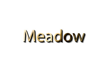 MEADOW NAME 3D