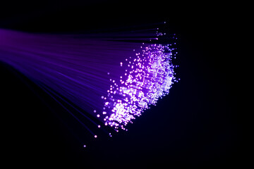 Bundle of optical fibers with color magenta light
