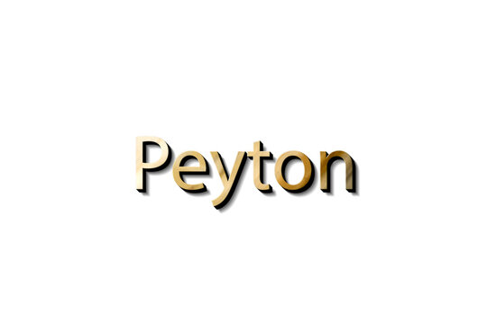 PEYTON MOCKUP 3D
