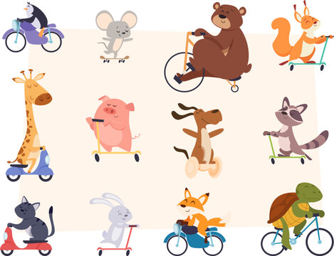 Animals riding. Characters in action poses sitting and riding scooter bikes and cars exact vector illustrations