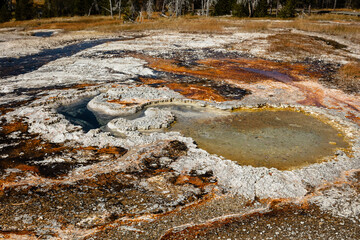 Fototapeta premium colorful stones around geysers at Yellowstone National Park 
