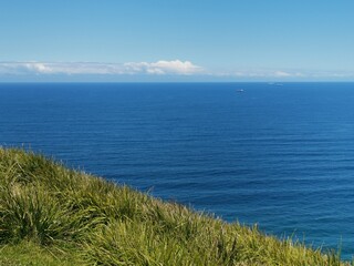 Generic background of calm blue sea with grass in foreground