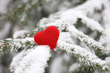 Knitted love heart on fir branch covered with snow in winter forest. Background for New Year celebration or Valentine's day