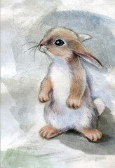 Watercolor drawing. Bunny standing on its hind legs.