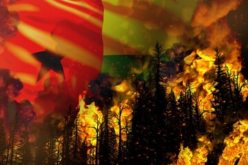 Forest fire natural disaster concept - infernal fire in the trees on Guinea flag background - 3D illustration of nature