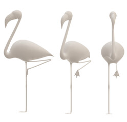 flamingo bird,  animal