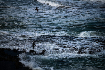 Silhouette of a man fishing in the Atlantic Ocean during high tide.
