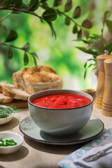 Ukrainian red borscht. Traditional Ukrainian soup.
