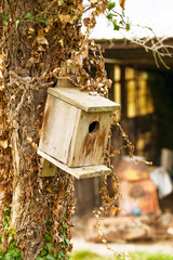 Wooden plank birdhouse in a rural farm on a tree trunk