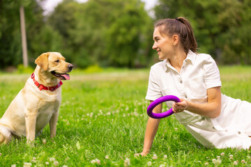 a young girl plays with a toy ring with a labrador dog on the grass